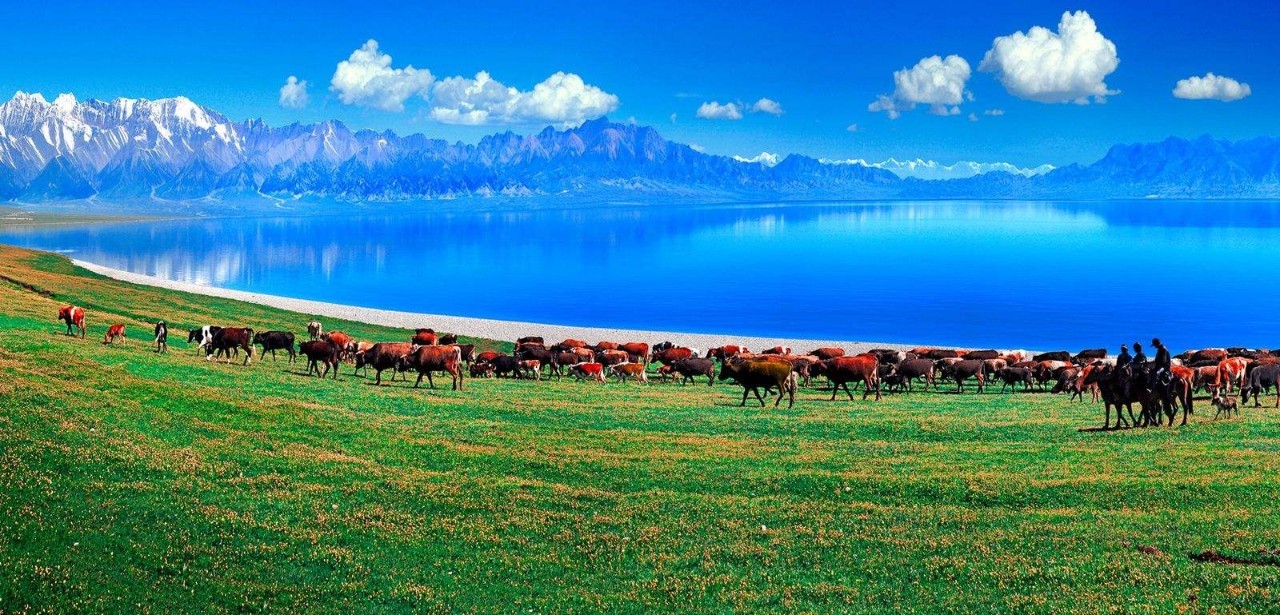 新疆，神秘多元魅力之地的探索与揭秘