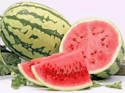 宁夏智造引领未来,宁夏高科技产品重塑生活新篇章