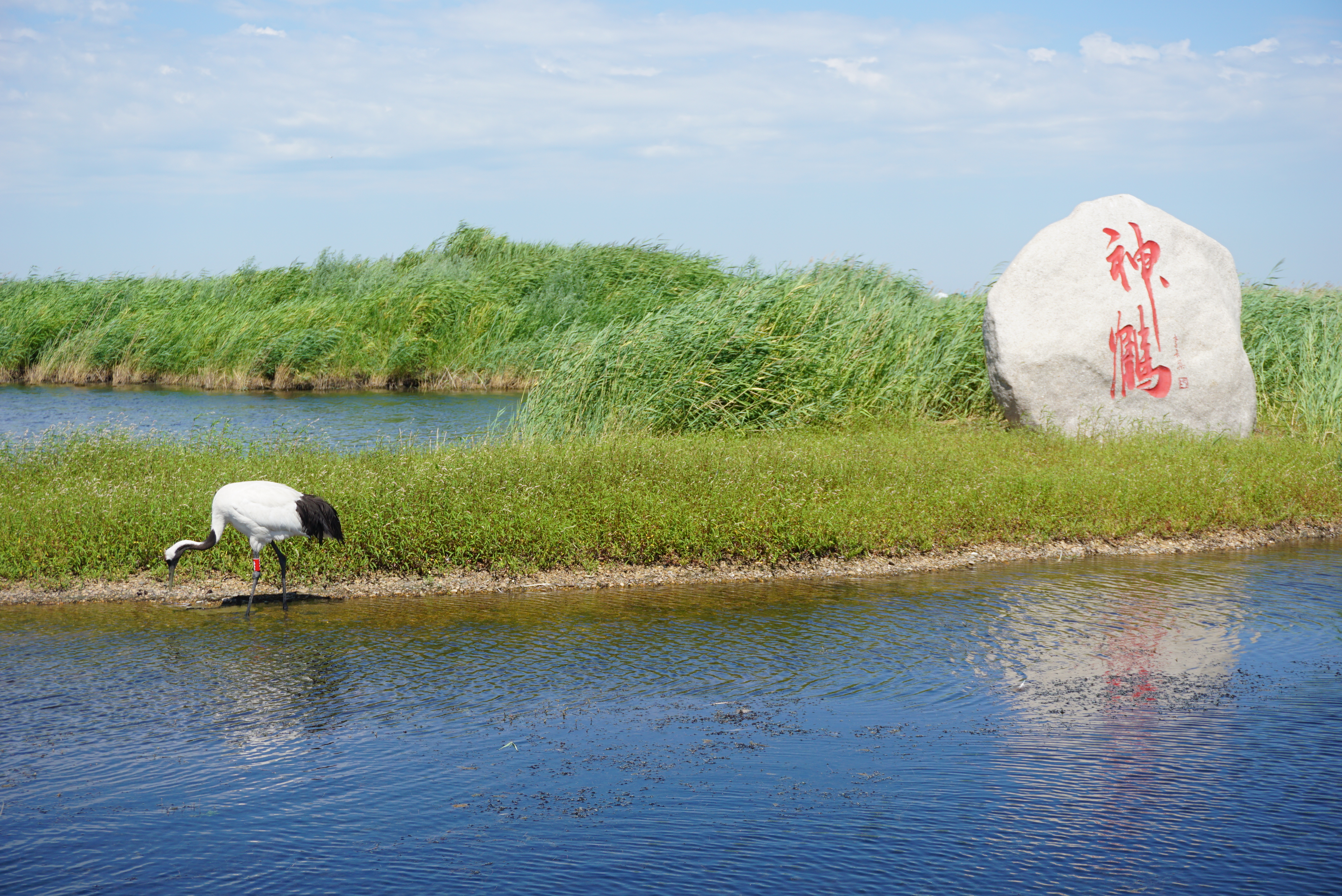 运城,千年古城的新魅力闪耀